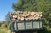 У місті Сторожинець та у Вижницькому районі незаконно перевозили лісодеревину