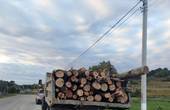 У селі Валя Кузьмина зупинили «КАМАЗ» завантажений краденим лісом  