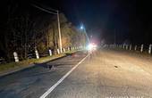 У Берегометі водій легковика на смерть збив пішохода і втік з місця аварії 