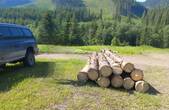 Житель села Плоска украв у лісі десять колод деревини хвойних порід, що належали  прикарпатцю