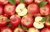 Садовод із Чернівеччини назвав найпрактичніший сорт яблук для експорту