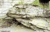 На буковинському березі Черемоша є скеля у вигляді велетенської жаби 