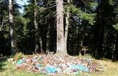 У Чернівцях чекають на фотографії «День Незалежності: в гори без сміття!»