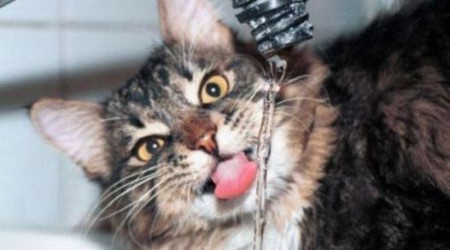 Буковинці торік випили 8 млн кубів свіжої водопровідної води 