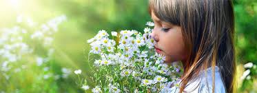 Буковинцям радять, як підготуватися і пережити сезон весняної алергії