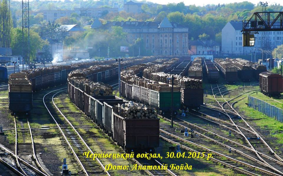 Експорт лісу за кордон активізувався - ЗМІ (ВІДЕО)