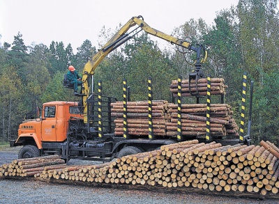 На Буковині лісівники 'сплавили' 7 мільйонів оточенню нардепа з БПП