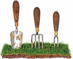 Чернівецькій громаді повернули чотири земельні ділянки, які незаконно роздали за часів Михайлішина