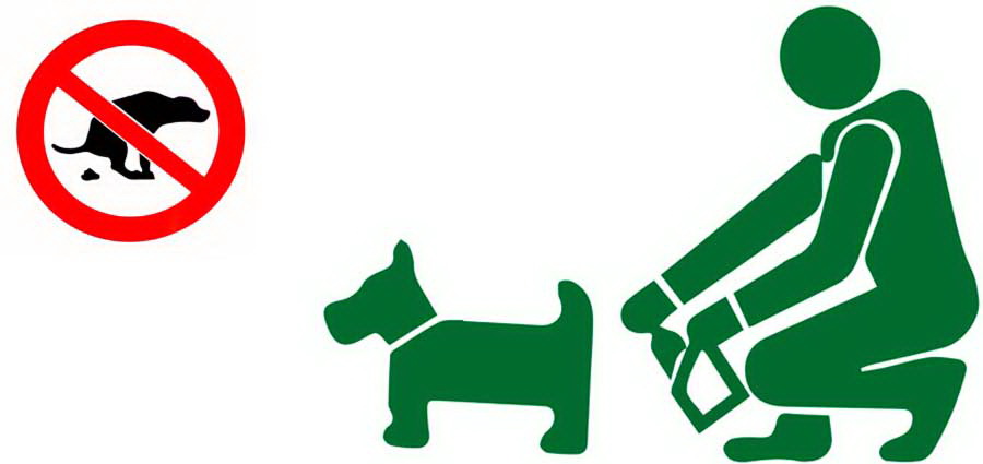 Чернівчан просять прибирати собачі екскременти у поліетиленові пакетики