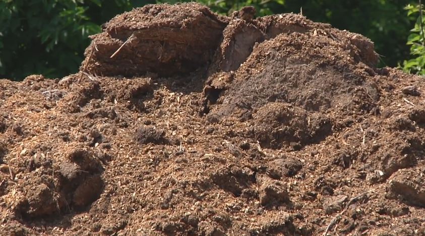 Селу Мамаївці загрожує екологічна катастрофа