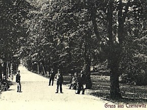 Каспрук шукає винних, хто перетворив чернівецькі парки на їдальні і товчки