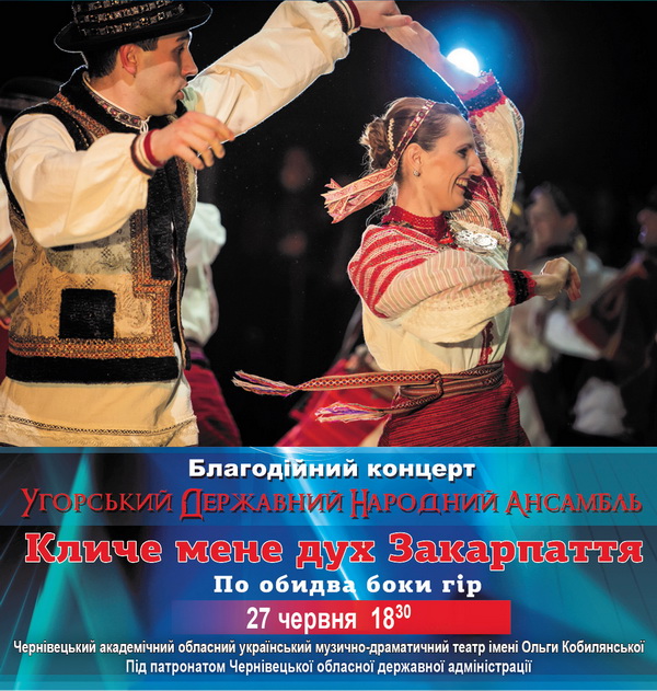 Буковинська влада закликала дружити з Угорщиною, але забула повідомити, де продаються квитки дружби