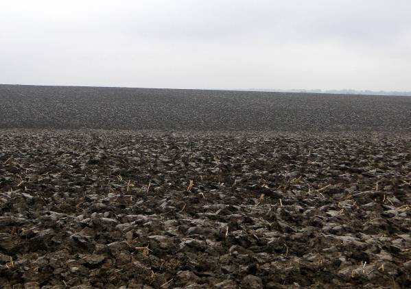 На Кіцманщині у державну власність повернули 61 га землі