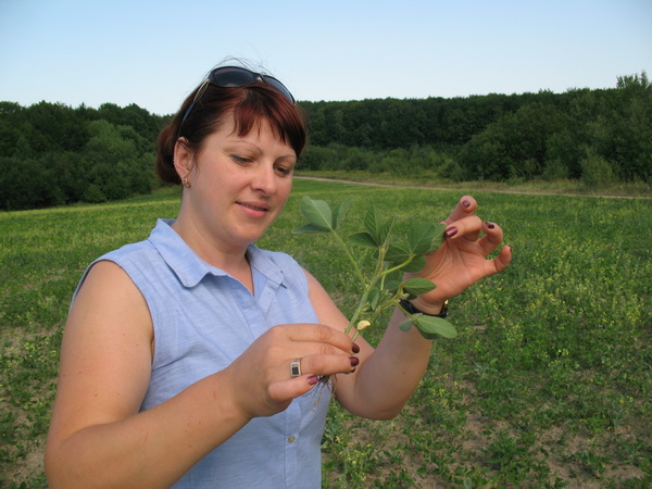 На Буковині селяни перестають обробляти свої землі