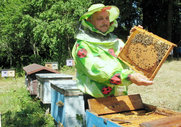 Грав акордеон, звучала музика, а загуділи бджоли — і його долю перевернули (Україна відзначає День пасічника)