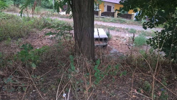 Чернівецькі Авто-майданівці кажуть, що у Каспрука попіарилися на їхній ідеї, а парк Шіллера як був у занедбаному стані, так і залишився