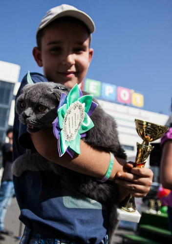 У Чернівцях вдруге відбувся фестиваль домашніх улюбленців