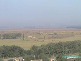 На військовому полігоні на Буковині знайшли мертвого солдата. Порушена кримінальна справа за статтею навмисне вбивство