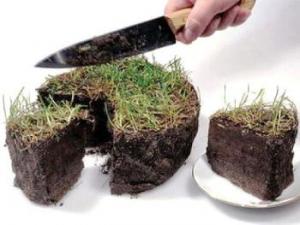 Керівник Чернівецького облцентру допомоги АТОвцям стверджує, що військовим на Буковині землю не дають