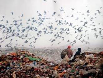 За забруднення довкілля платники перерахували більше мільйона гривень