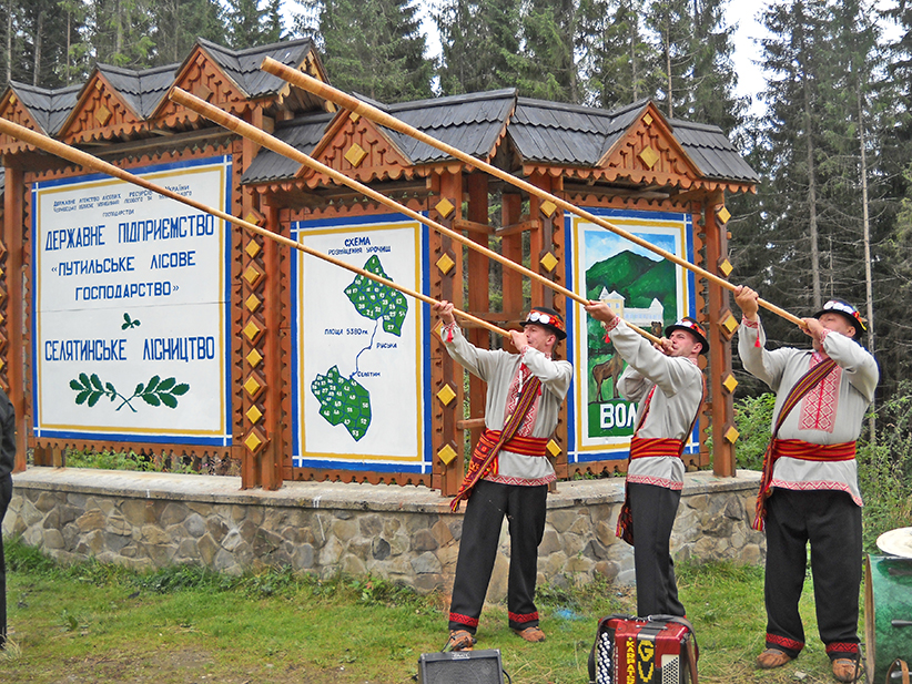 В Чернівецькій області шукатимуть керівника лісового господарства
