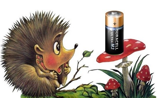 Чернівецькі школярі врятували 25 тисяч їжаків та 50 тисяч дерев (+3 відео)