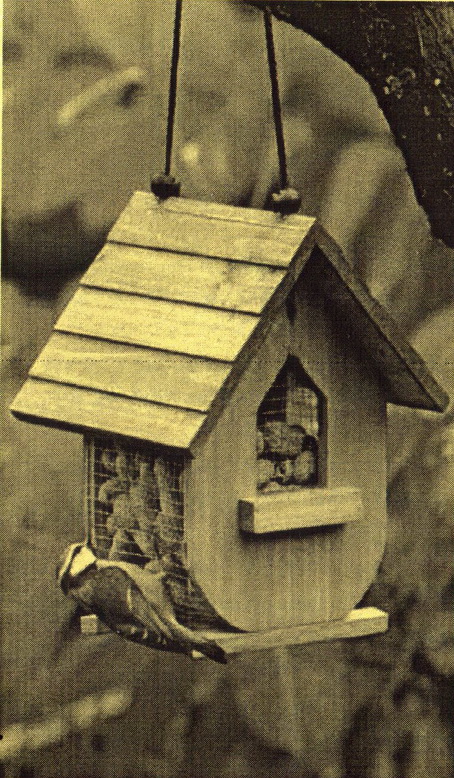 Чернівчан запрошують нагодувати синичок