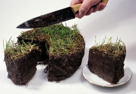 На Буковині депутата сільської ради оштрафували за голосування на свою користь