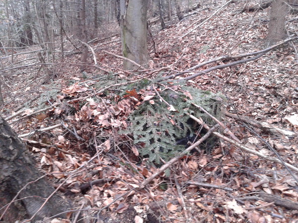 Майже 30 ящиків сигарет контрабандисти заховали під гіллям