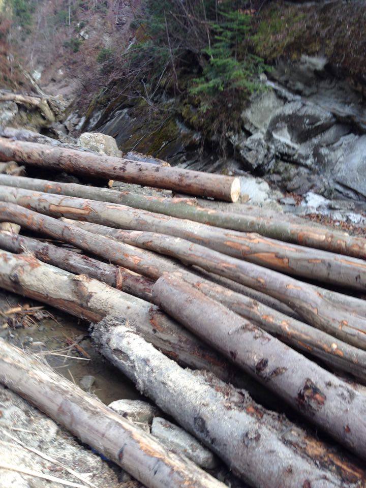 Прокуратура виявила ознаки службової недбалості під час рубки дерев поблизу водоспаду «Ворота» у с. Розтоки і передала висновки до поліції