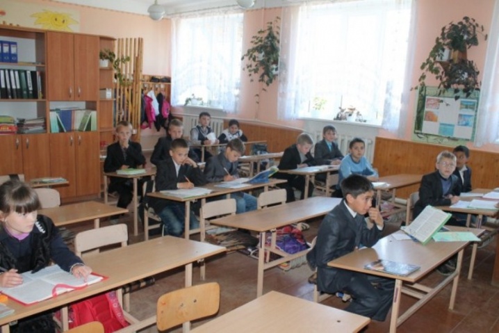 Правоохоронці з’ясовують причини виникнення алергічного дерматиту в учнів Зруб-Комарівської школи