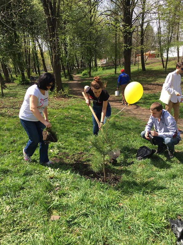 Буковинські «батьківщинівці» висадили дерева миру