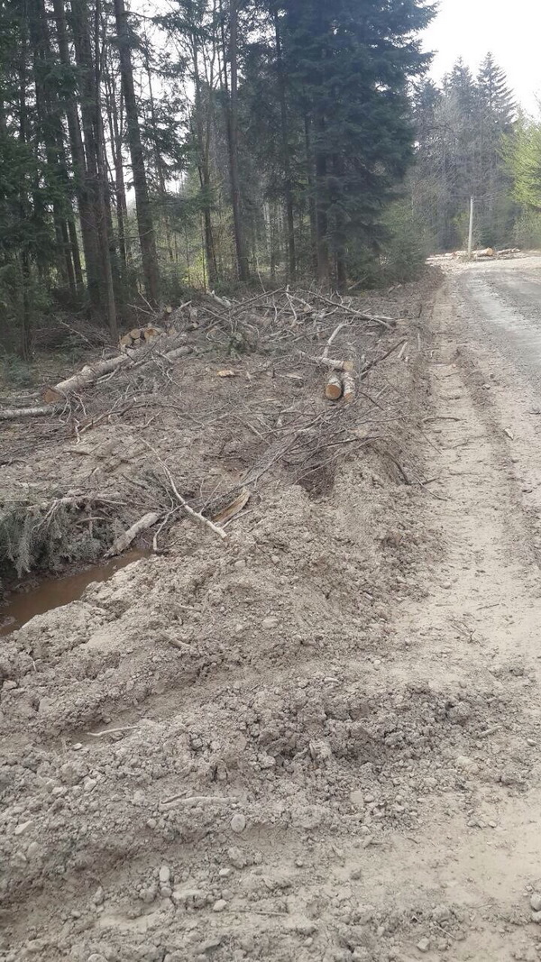 Понівечені узбіччя біля розбитих доріг: УКРОП вимагає не марнувати  кошти 