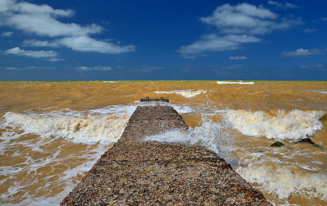 Пейзаж у Криму став синьо-жовтим через рідкісне забарвлення Чорного моря - відео, фото