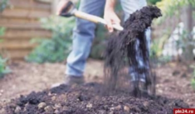 На Путильщині дружина вбила 25-річного чоловіка, а на Сокирянщині злочинець прикопав на городі тіло 29-річного односельчанина