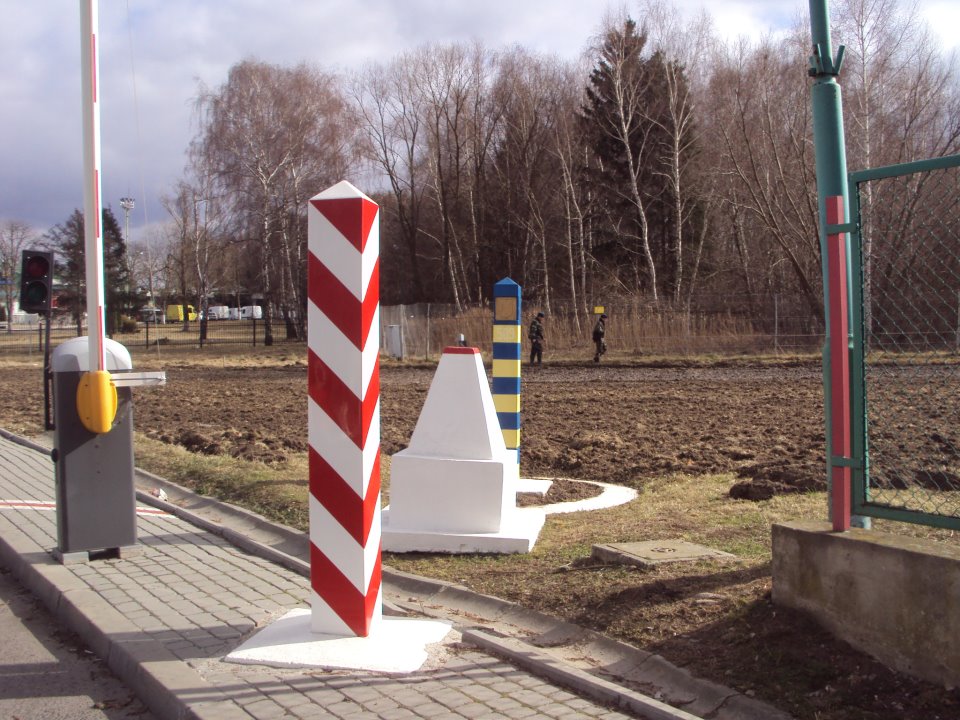 Польська мова надалі популярна попри історичні конфлікти з Польщею