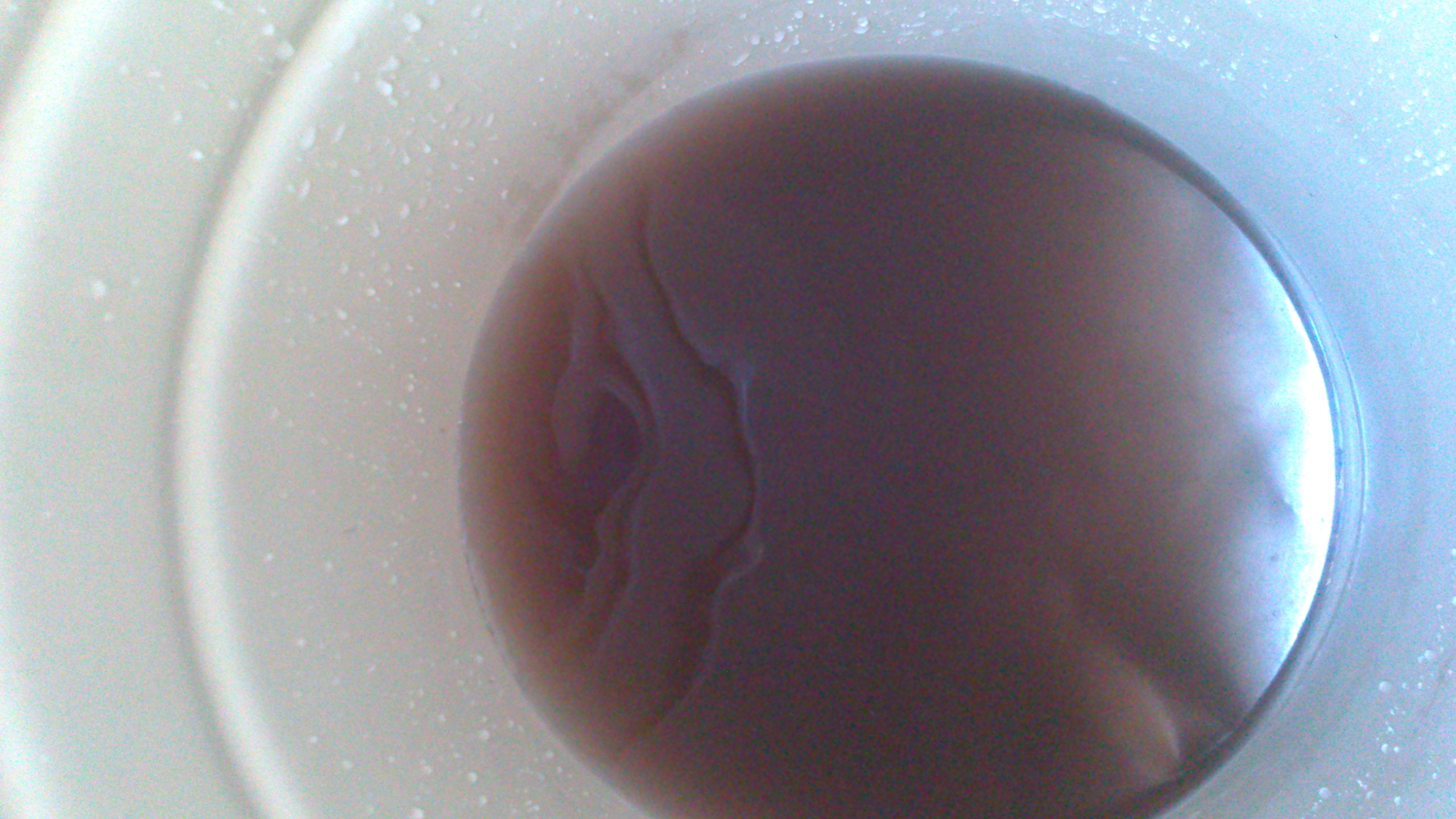 Через аварію на водогоні у кранах частини Чернівців потекла брудна вода