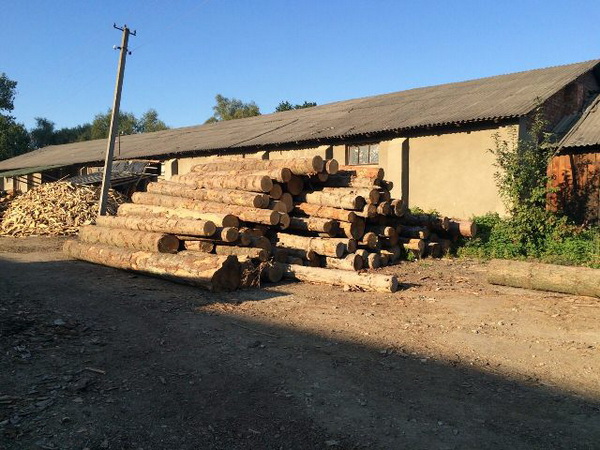 На Сторожинеччині знову виявили лісодеревину без маркувальних бирок