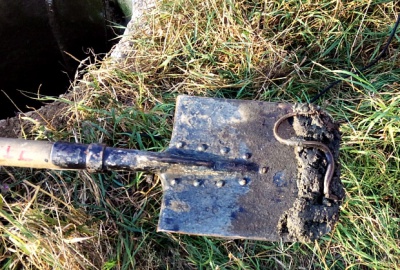 Доблесні рятувальники вбили не гадюк, а ящірок і вужа, - фахівець