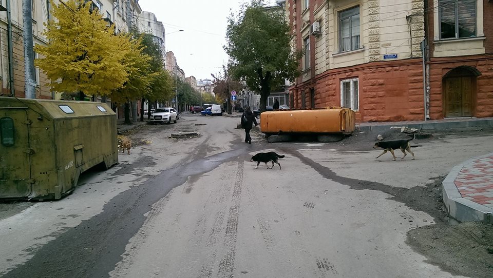 Депутати вимагають перевірити роботи на вулиці Б.Хмельницького. Підозрюють порушення