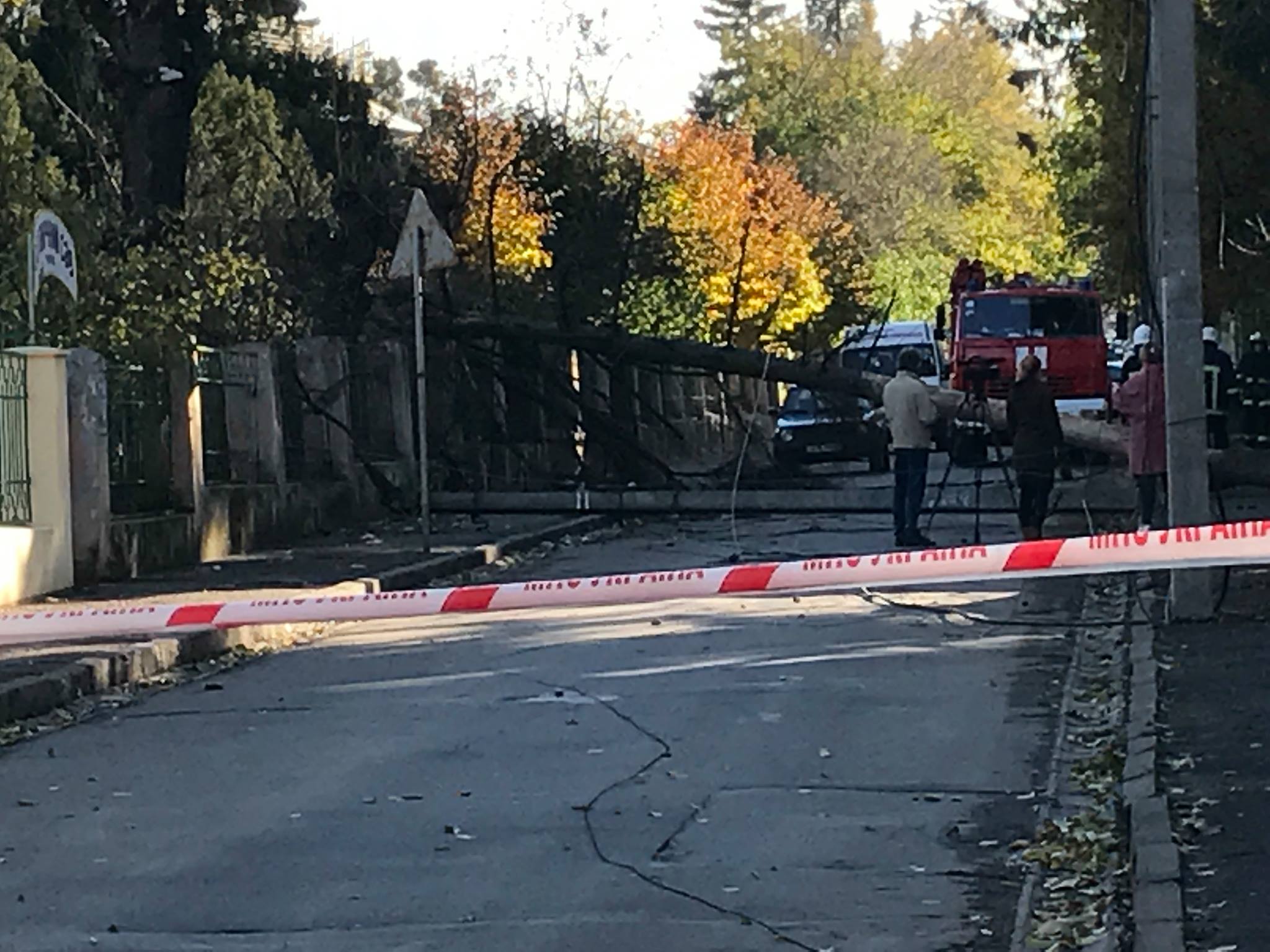 У Чернівцях на вулиці Федьковича через сильні пориви вітру обвалилось дерево і електроопора