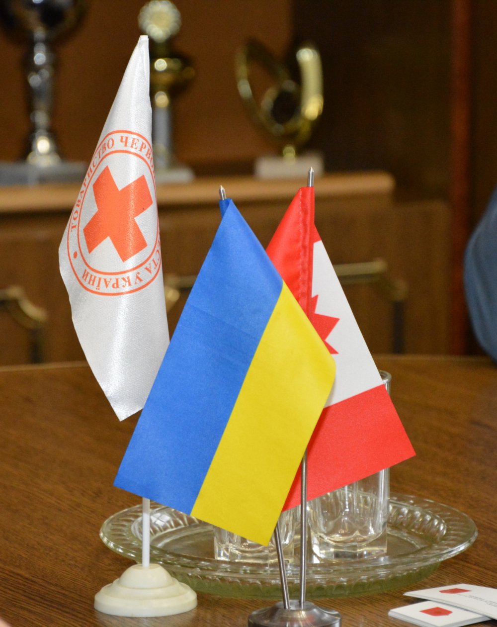 Чернівцям дістанеться одна з десяти канадських 'швидких', переданих Україні 