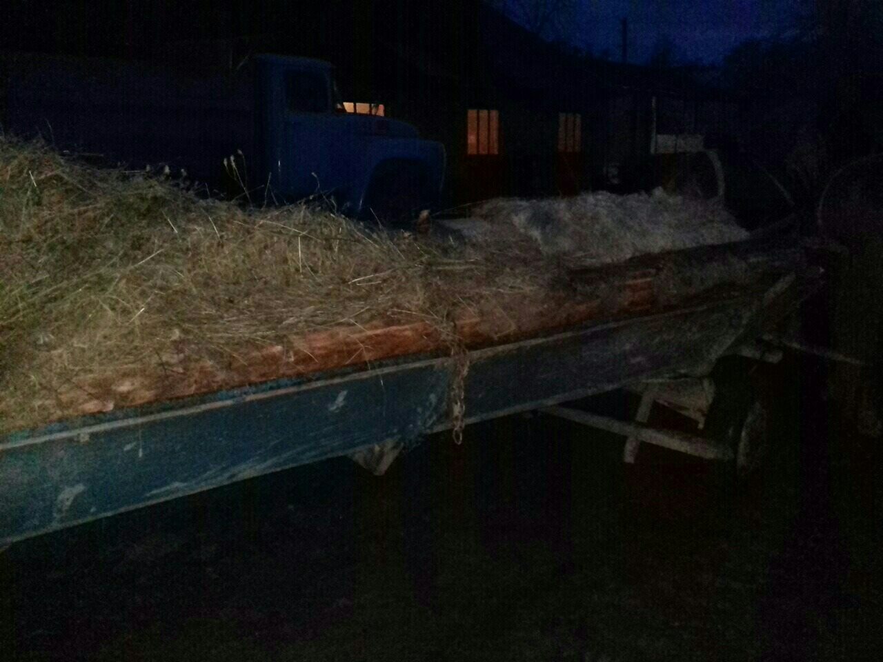 'Откуда дровишки?' - 'Из лесу, вестимо...' На Буковині лісник викрив чоловіка з двома дітьми, які на фірі везли дрова без документів