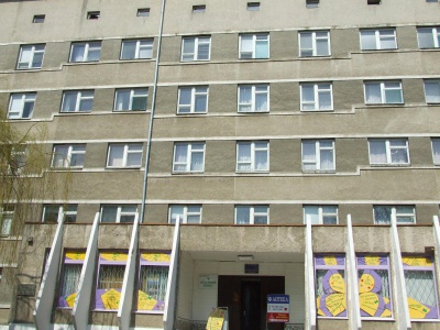 Бурбак і Федорук вибили 45 млн грн. на добудову перинатального центру в Чернівцях