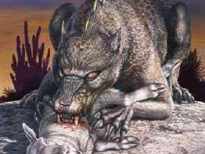 В Черновцах завелась религиозная чупакабра