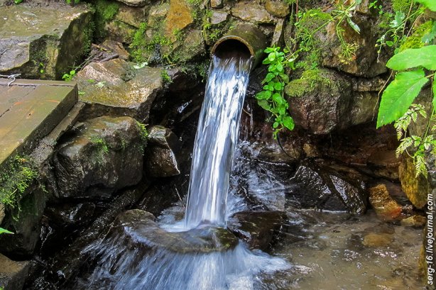 У Сокирянській колонії крали воду