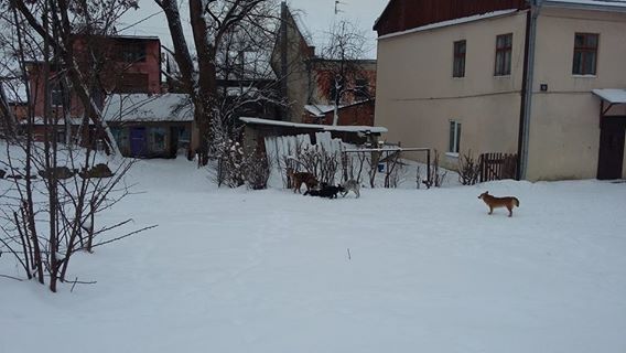 В центральній частині Садгори відбуваються жахливі речі