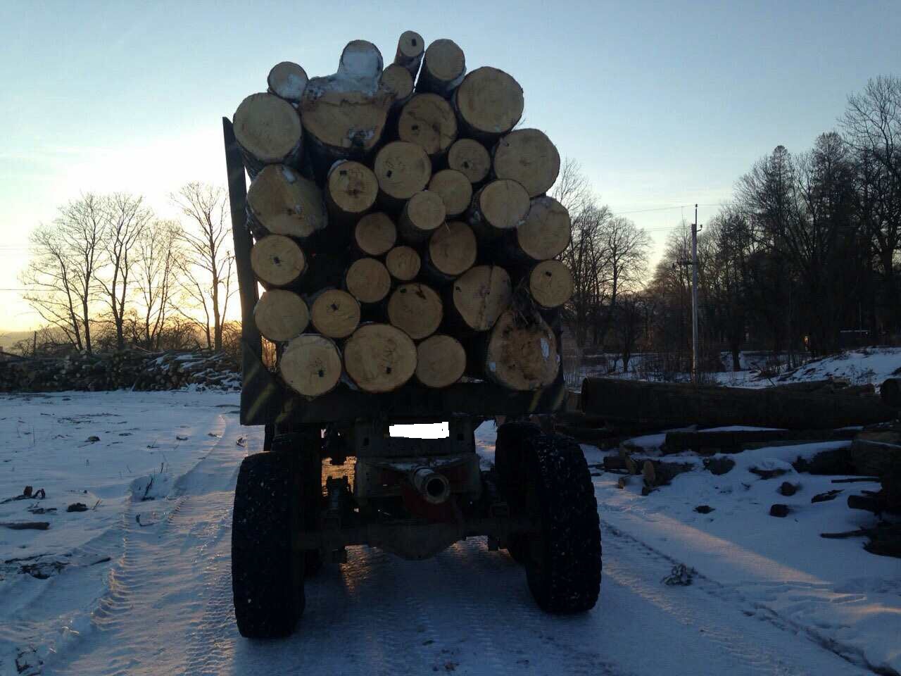 За півроку на Буковині затримали 21 вантажівку з краденим лісом