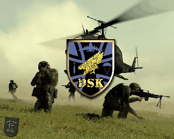 Румунська механізована бригада перейшла під оперативне командування Дивізії швидкого реагування Бундесверу