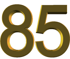 Буковинка Віоріка Радукан відсвяткувала 85-річний ювілей!